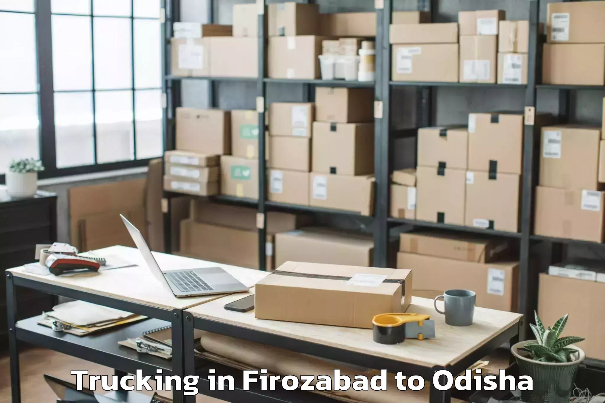 Leading Firozabad to Khandapada Trucking Provider